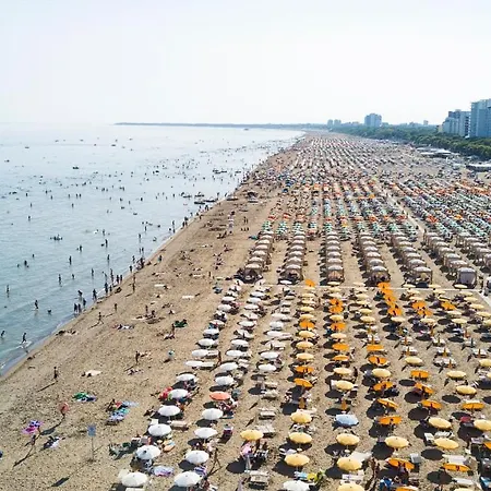 Delle Palme
